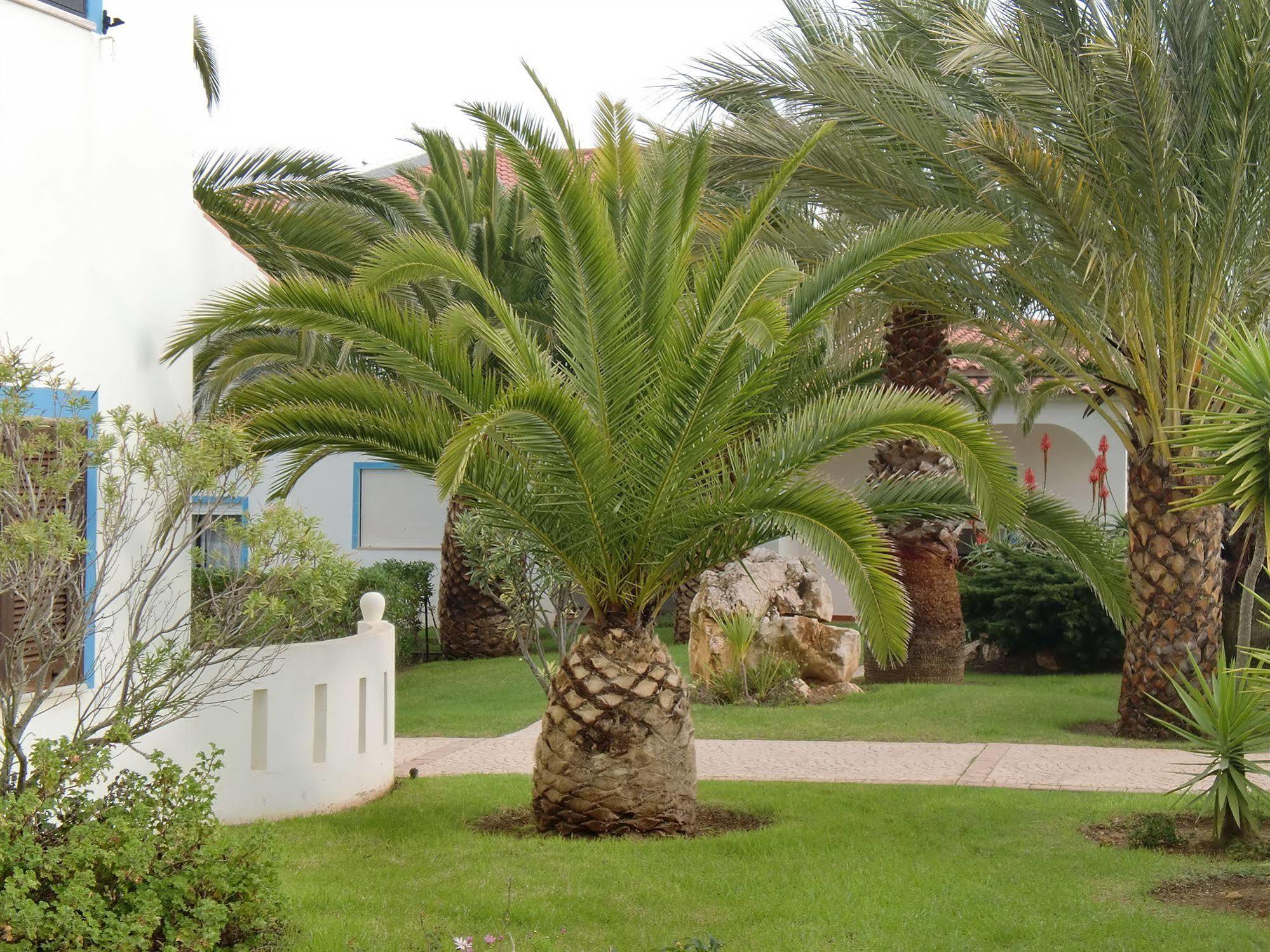 Ponta Grande Carvoeiro Carvoeiro (Lagoa) Exterior foto