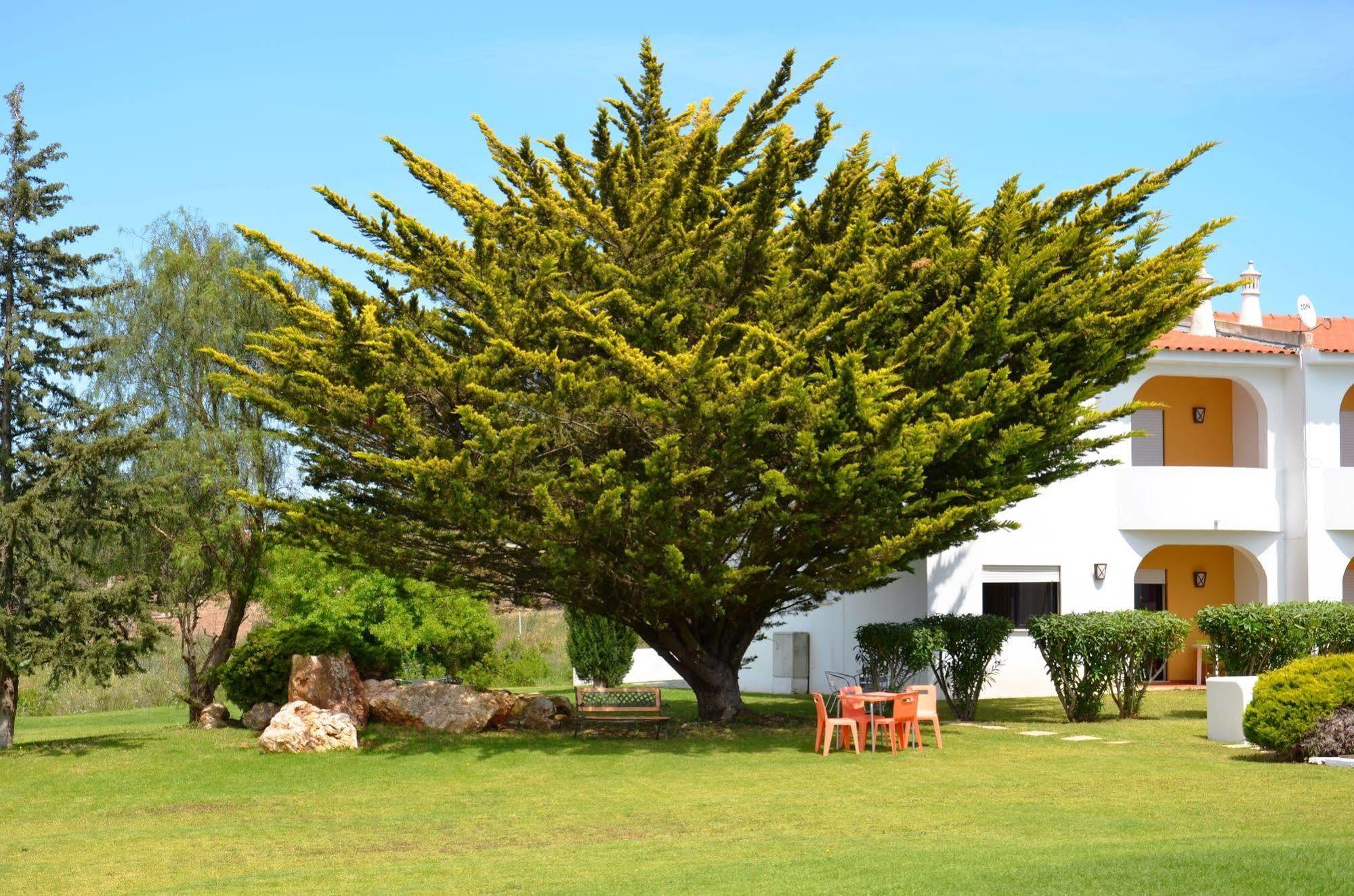 Ponta Grande Carvoeiro Carvoeiro (Lagoa) Exterior foto